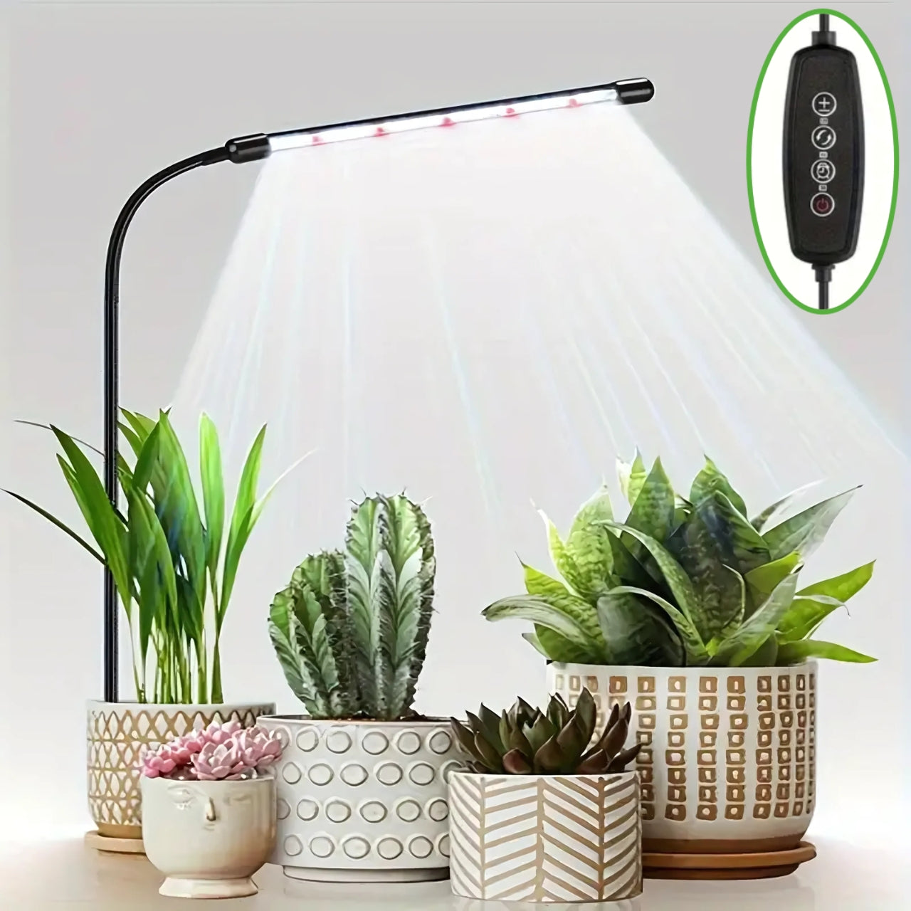 GrowFlex LED für Zimmerpflanzen
