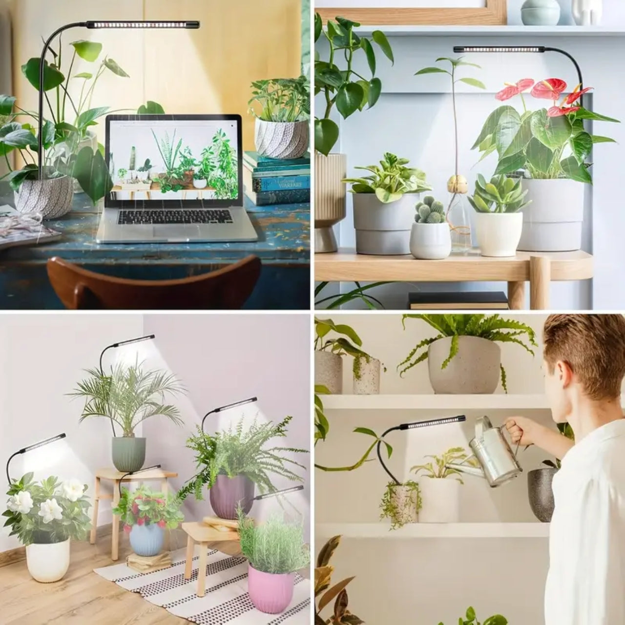 GrowFlex LED für Zimmerpflanzen