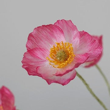 Künstliche Mohnblumenstiele (Packung mit 5 Stielen)