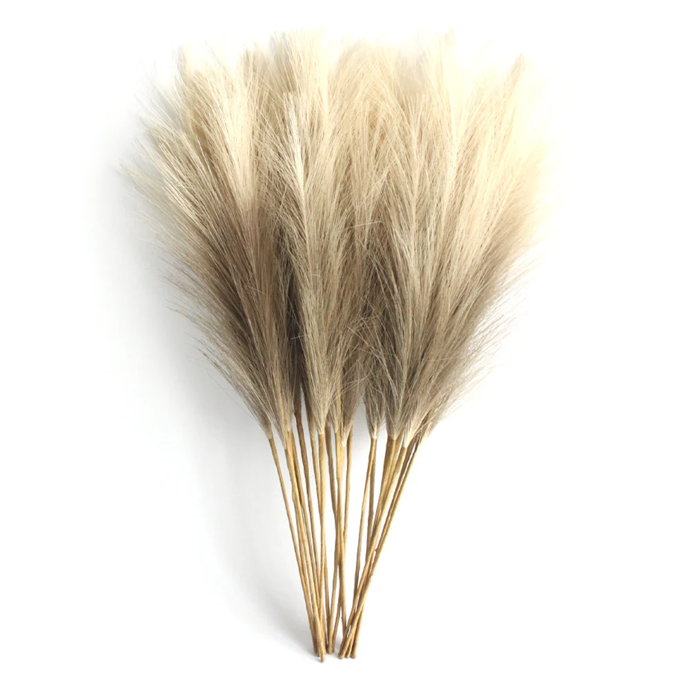 Flauschiges Pampasgras