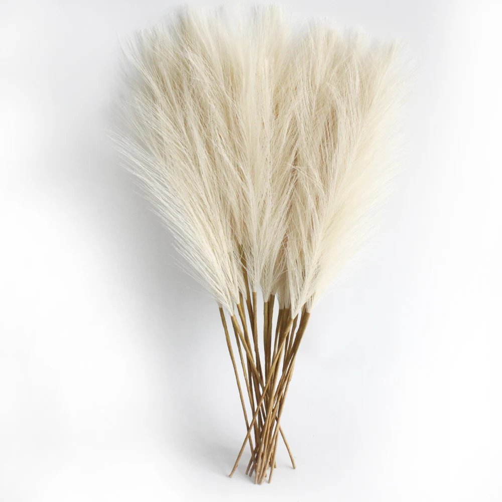 Flauschiges Pampasgras