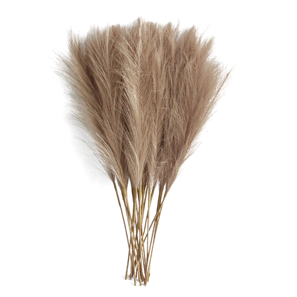 Flauschiges Pampasgras