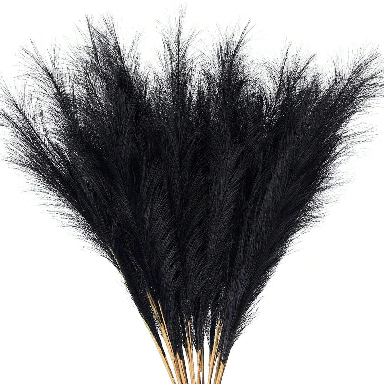 Flauschiges Pampasgras