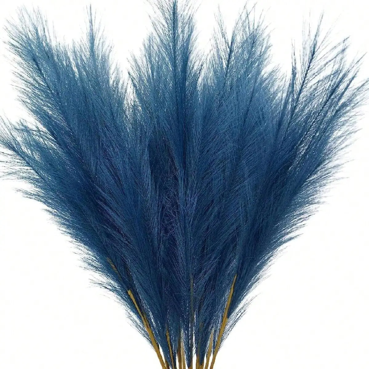 Flauschiges Pampasgras