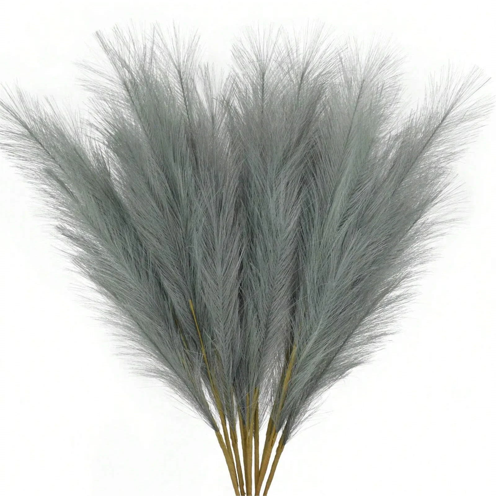 Flauschiges Pampasgras